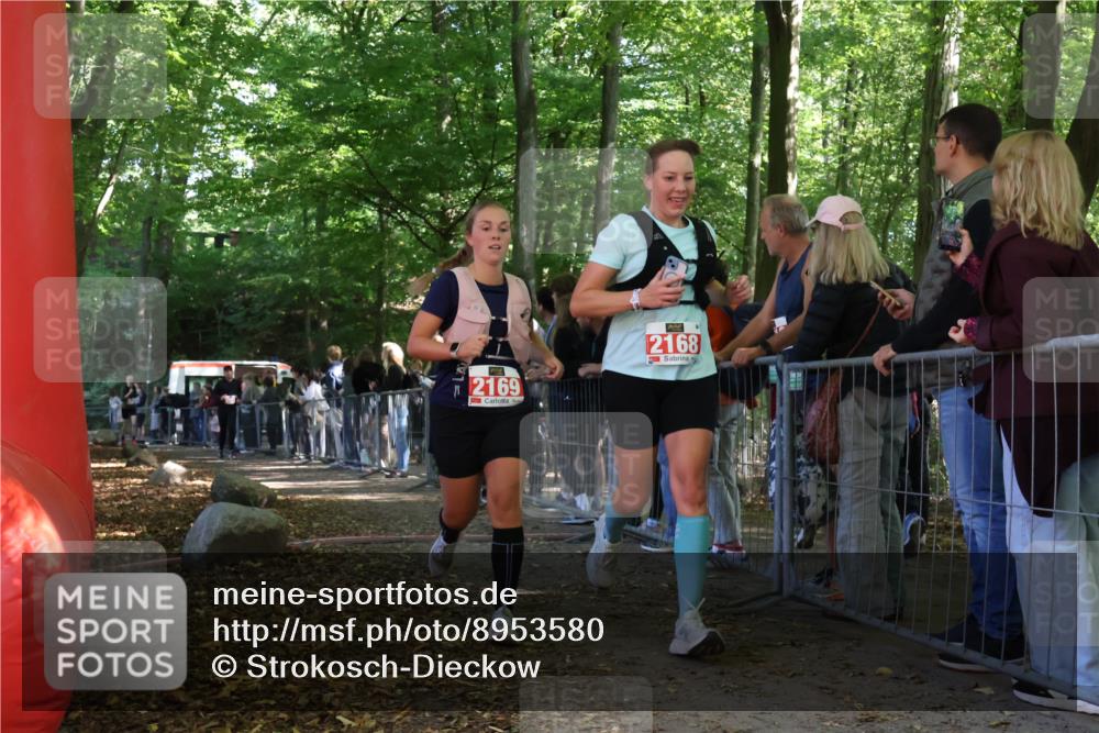 28.09.2025 - 33. Volkslauf durch das schöne Alstertal Strokosch-Dieckow http://msf.ph/oto/8953580 28.09.2025 12:32:46 Ziel 2169, 2603, 2992 meine-sportfotos.de