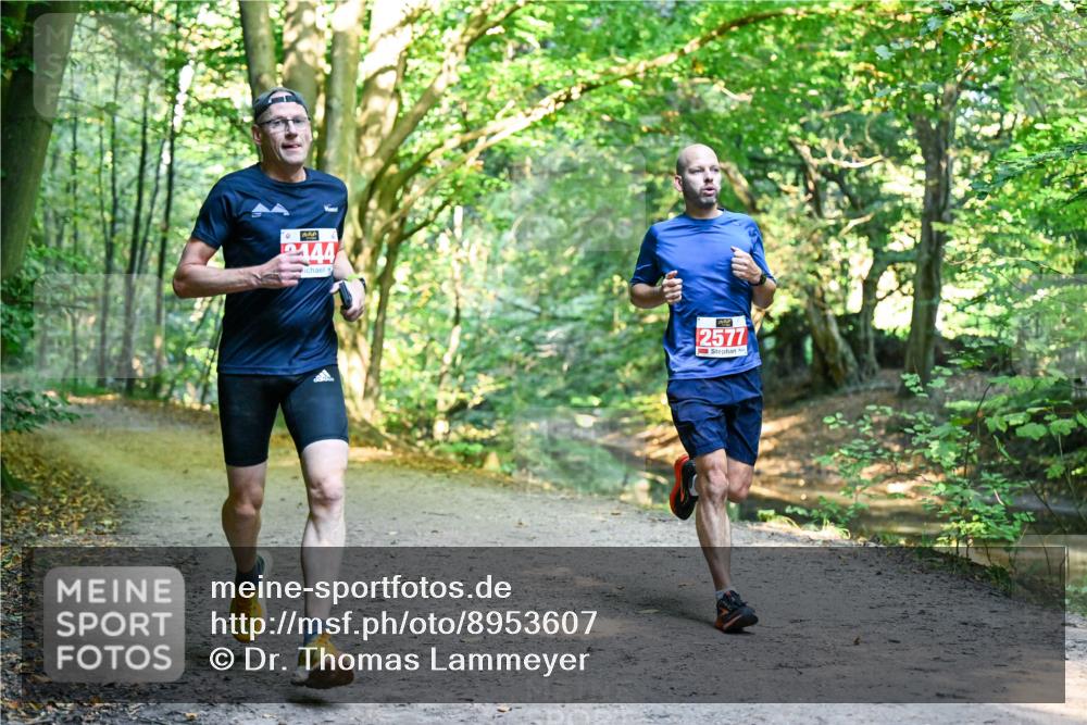 28.09.2025 - 33. Volkslauf durch das schöne Alstertal Dr. Thomas Lammeyer http://msf.ph/oto/8953607 28.09.2025 10:36:11 Laufen 0, 444, 2577 meine-sportfotos.de
