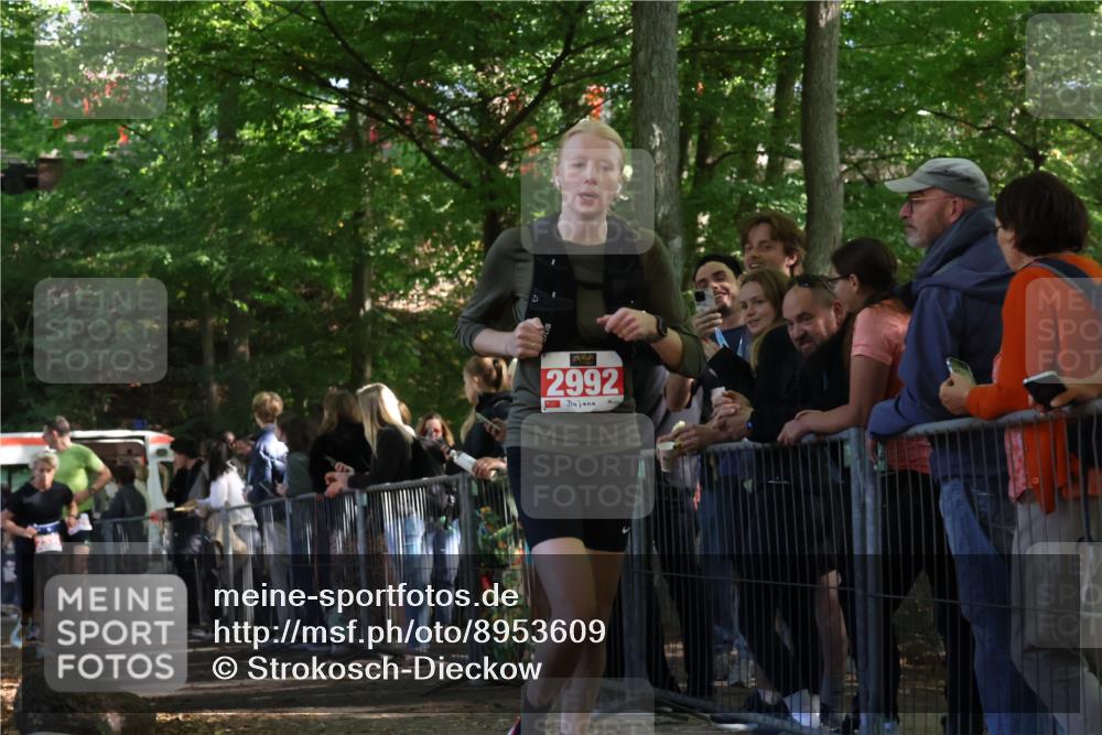 28.09.2025 - 33. Volkslauf durch das schöne Alstertal Strokosch-Dieckow http://msf.ph/oto/8953609 28.09.2025 12:32:56 Ziel 2206, 2285, 2286, 2535, 2629, 2992 meine-sportfotos.de