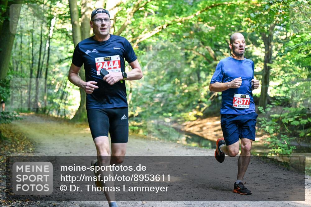 28.09.2025 - 33. Volkslauf durch das schöne Alstertal Dr. Thomas Lammeyer http://msf.ph/oto/8953611 28.09.2025 10:36:11 Laufen 2444, 2577 meine-sportfotos.de