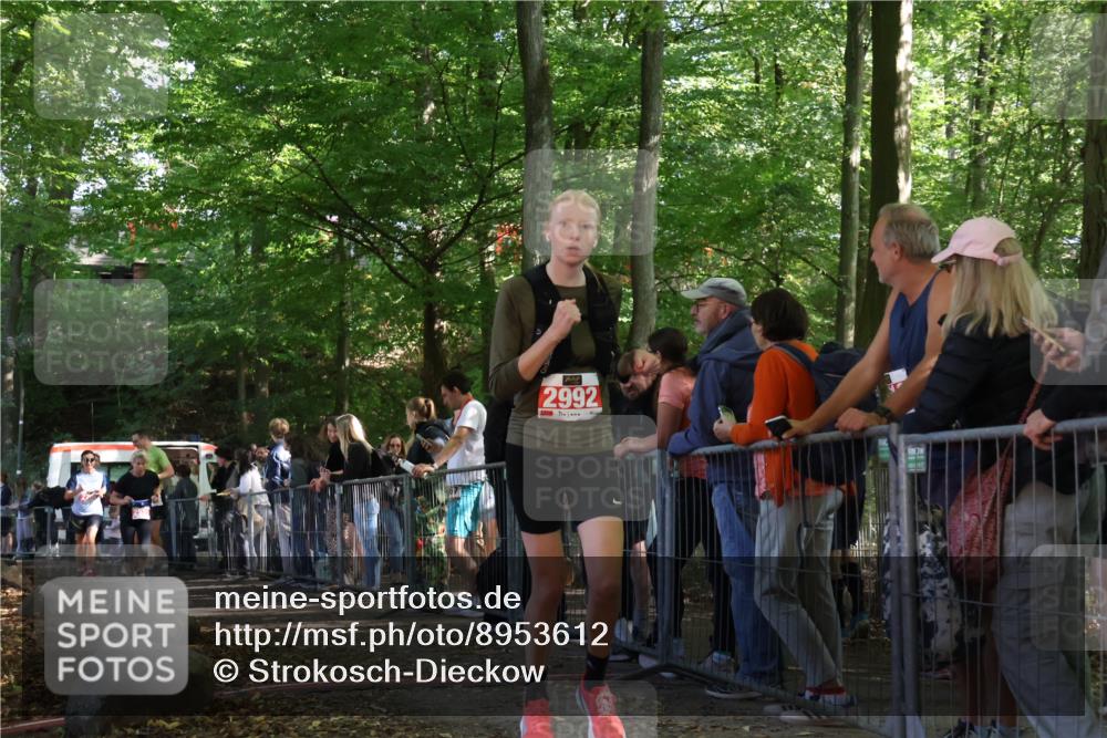 28.09.2025 - 33. Volkslauf durch das schöne Alstertal Strokosch-Dieckow http://msf.ph/oto/8953612 28.09.2025 12:32:56 Ziel 2206, 2285, 2286, 2535, 2629, 2992 meine-sportfotos.de