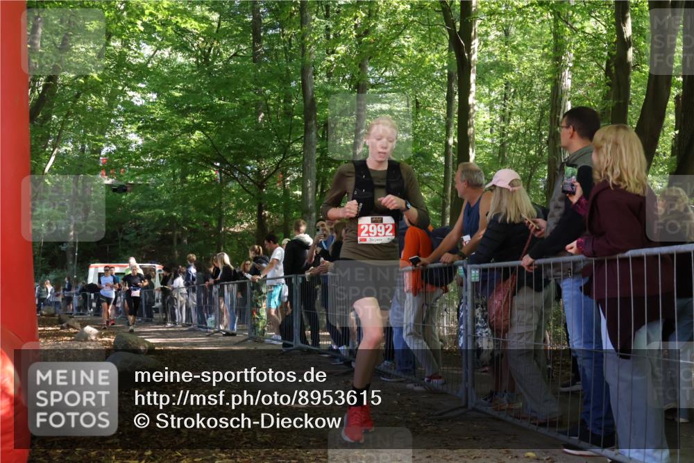 28.09.2025 - 33. Volkslauf durch das schöne Alstertal Strokosch-Dieckow http://msf.ph/oto/8953615 28.09.2025 12:32:57 Ziel 2206, 2285, 2286, 2535, 2629 meine-sportfotos.de