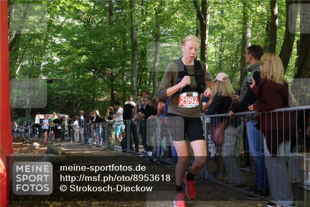 28.09.2025 - 33. Volkslauf durch das schöne Alstertal Strokosch-Dieckow http://msf.ph/oto/8953618 28.09.2025 12:32:57 Ziel 2206, 2285, 2286, 2535, 2629 meine-sportfotos.de