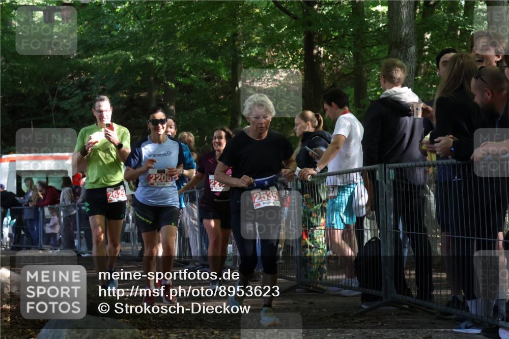 28.09.2025 - 33. Volkslauf durch das schöne Alstertal Strokosch-Dieckow http://msf.ph/oto/8953623 28.09.2025 12:33:01 Ziel 2206, 2285, 2286, 2535, 2629 meine-sportfotos.de