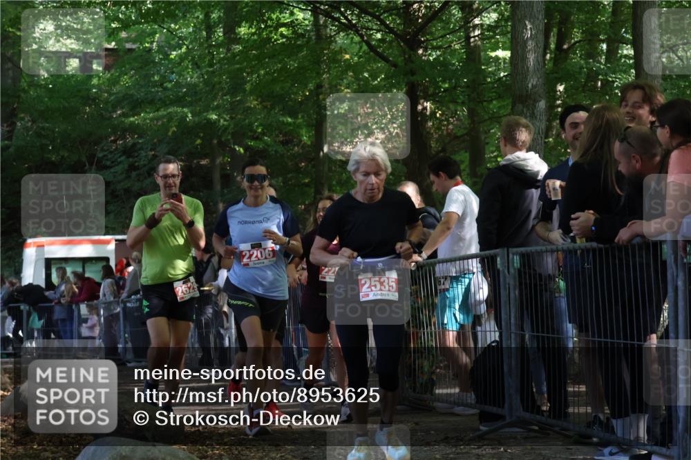 28.09.2025 - 33. Volkslauf durch das schöne Alstertal Strokosch-Dieckow http://msf.ph/oto/8953625 28.09.2025 12:33:01 Ziel 2206, 2285, 2286, 2535, 2629 meine-sportfotos.de