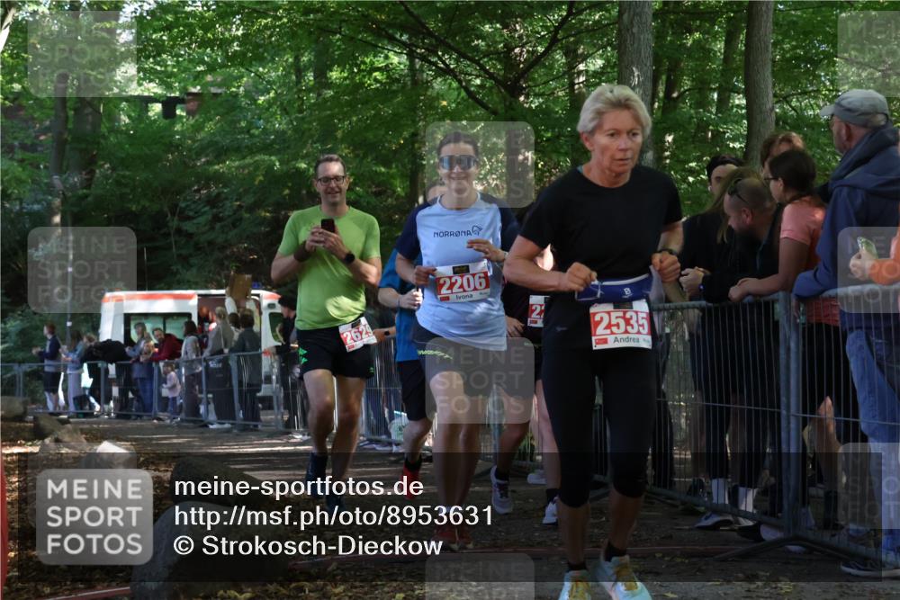 28.09.2025 - 33. Volkslauf durch das schöne Alstertal Strokosch-Dieckow http://msf.ph/oto/8953631 28.09.2025 12:33:02 Ziel 2206, 2285, 2286, 2535, 2629 meine-sportfotos.de