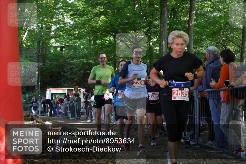 28.09.2025 - 33. Volkslauf durch das schöne Alstertal Strokosch-Dieckow http://msf.ph/oto/8953634 28.09.2025 12:33:03 Ziel 2206, 2285, 2286, 2629 meine-sportfotos.de