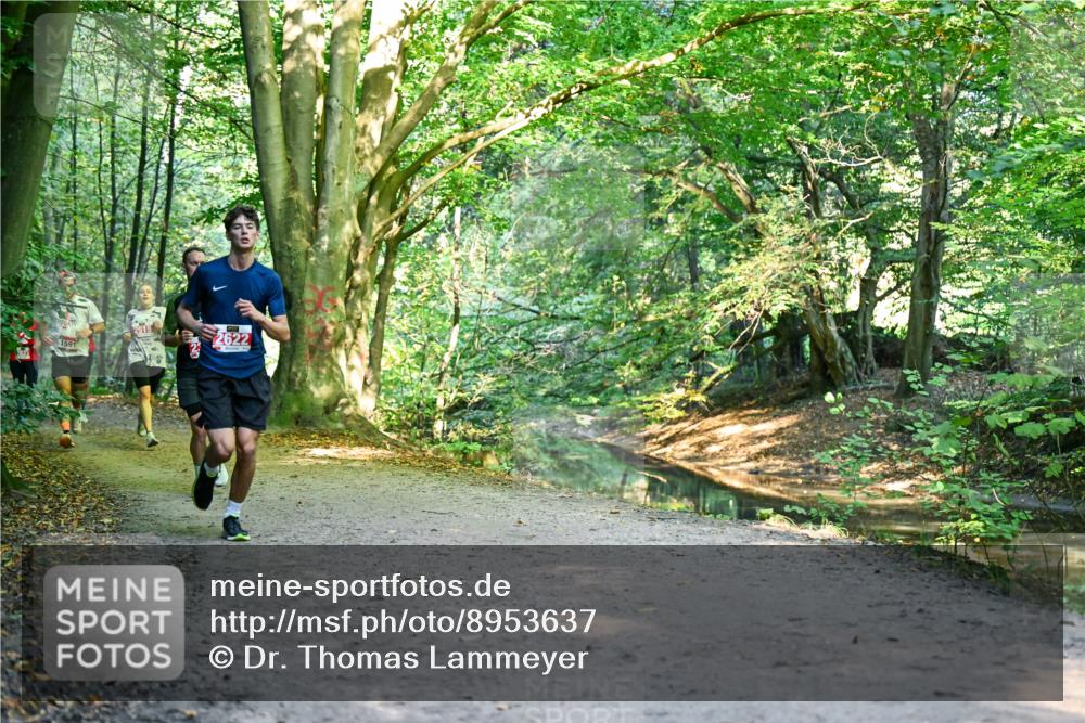 28.09.2025 - 33. Volkslauf durch das schöne Alstertal Dr. Thomas Lammeyer http://msf.ph/oto/8953637 28.09.2025 10:36:22 Laufen 2622, 1591 meine-sportfotos.de