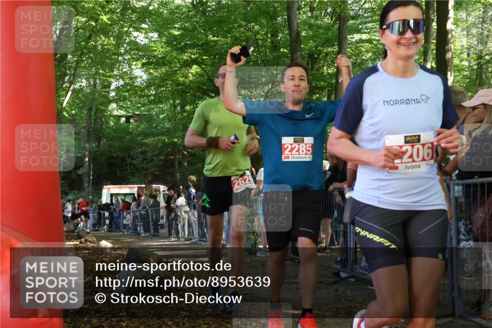 28.09.2025 - 33. Volkslauf durch das schöne Alstertal Strokosch-Dieckow http://msf.ph/oto/8953639 28.09.2025 12:33:04 Ziel 2239, 2285, 2286, 2526, 2531, 2629 meine-sportfotos.de