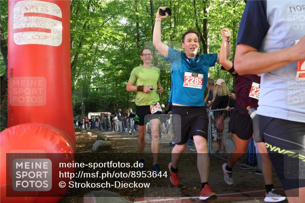 28.09.2025 - 33. Volkslauf durch das schöne Alstertal Strokosch-Dieckow http://msf.ph/oto/8953644 28.09.2025 12:33:05 Ziel 2239, 2526, 2531 meine-sportfotos.de