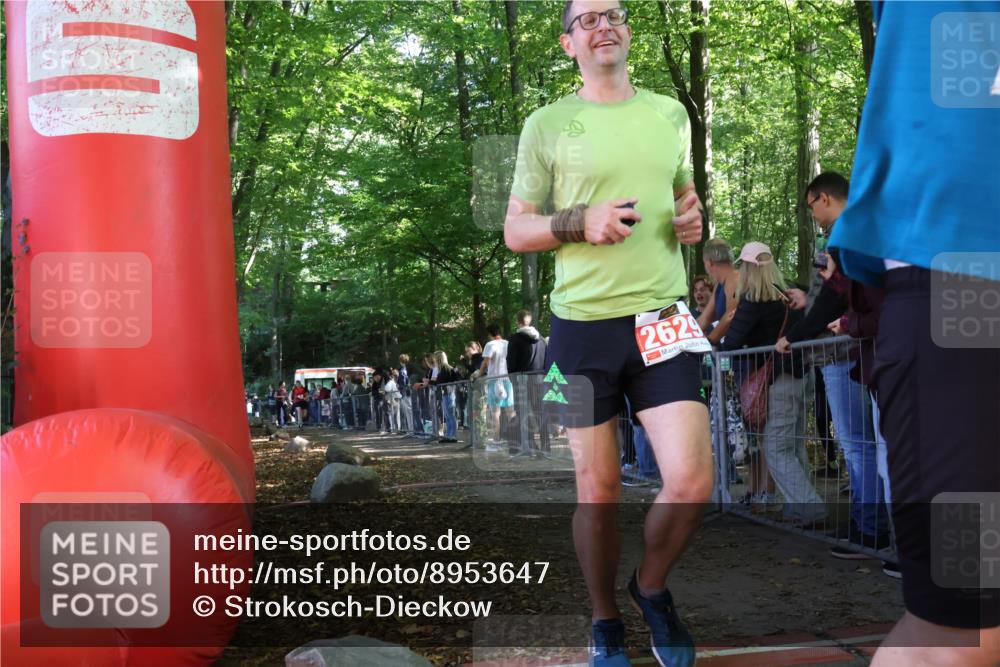 28.09.2025 - 33. Volkslauf durch das schöne Alstertal Strokosch-Dieckow http://msf.ph/oto/8953647 28.09.2025 12:33:06 Ziel 2239, 2526, 2531 meine-sportfotos.de