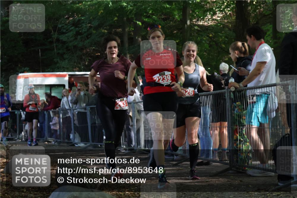 28.09.2025 - 33. Volkslauf durch das schöne Alstertal Strokosch-Dieckow http://msf.ph/oto/8953648 28.09.2025 12:33:12 Ziel 1098, 1738, 2044, 2239, 2526, 2531 meine-sportfotos.de