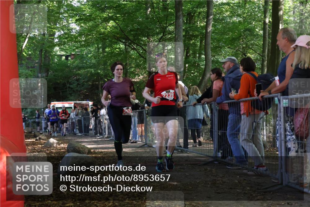 28.09.2025 - 33. Volkslauf durch das schöne Alstertal Strokosch-Dieckow http://msf.ph/oto/8953657 28.09.2025 12:33:13 Ziel 1098, 1738, 2043, 2044, 2239, 2526, 2531 meine-sportfotos.de