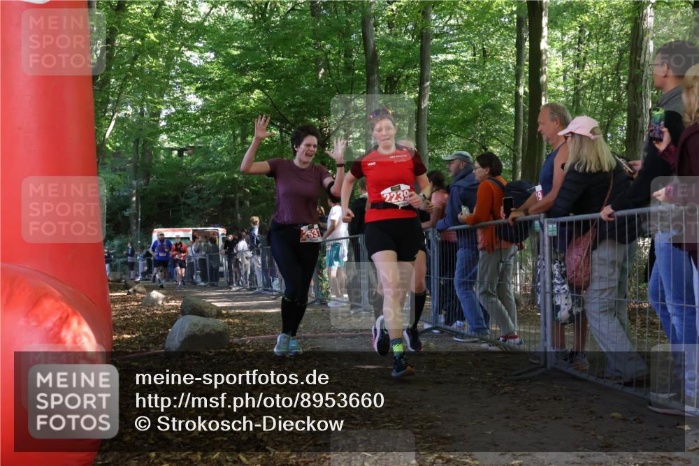 28.09.2025 - 33. Volkslauf durch das schöne Alstertal Strokosch-Dieckow http://msf.ph/oto/8953660 28.09.2025 12:33:14 Ziel 1098, 1738, 2043, 2044, 2239, 2357, 2526, 2531 meine-sportfotos.de