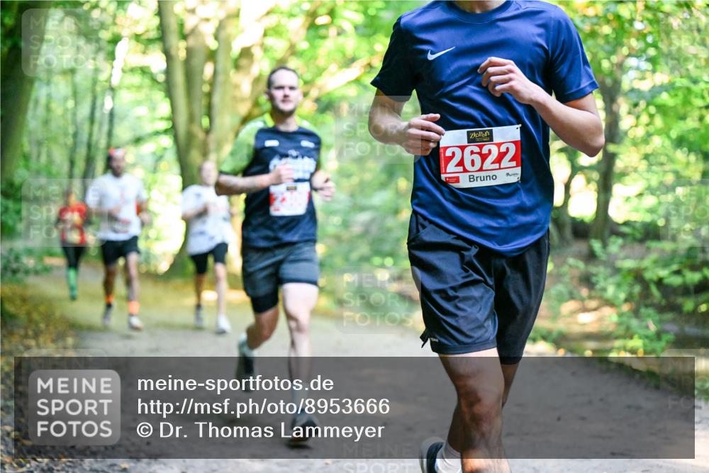 28.09.2025 - 33. Volkslauf durch das schöne Alstertal Dr. Thomas Lammeyer http://msf.ph/oto/8953666 28.09.2025 10:36:24 Laufen 2622 meine-sportfotos.de