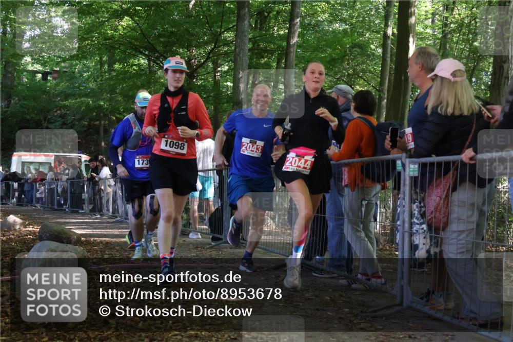 28.09.2025 - 33. Volkslauf durch das schöne Alstertal Strokosch-Dieckow http://msf.ph/oto/8953678 28.09.2025 12:33:22 Ziel 1098, 2043, 2044, 2357 meine-sportfotos.de