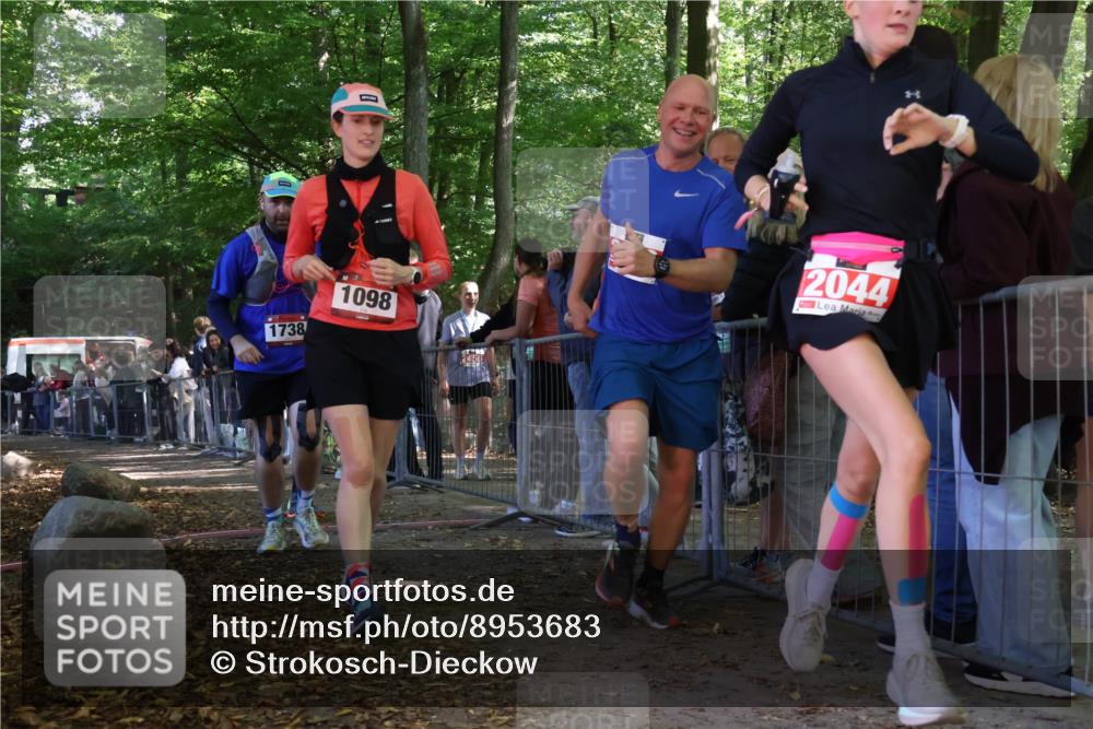28.09.2025 - 33. Volkslauf durch das schöne Alstertal Strokosch-Dieckow http://msf.ph/oto/8953683 28.09.2025 12:33:23 Ziel 2043, 2357 meine-sportfotos.de