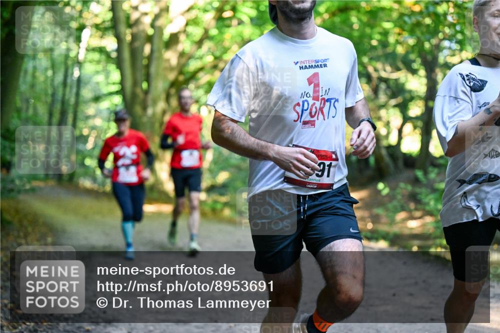 28.09.2025 - 33. Volkslauf durch das schöne Alstertal Dr. Thomas Lammeyer http://msf.ph/oto/8953691 28.09.2025 10:36:27 Laufen 91 meine-sportfotos.de