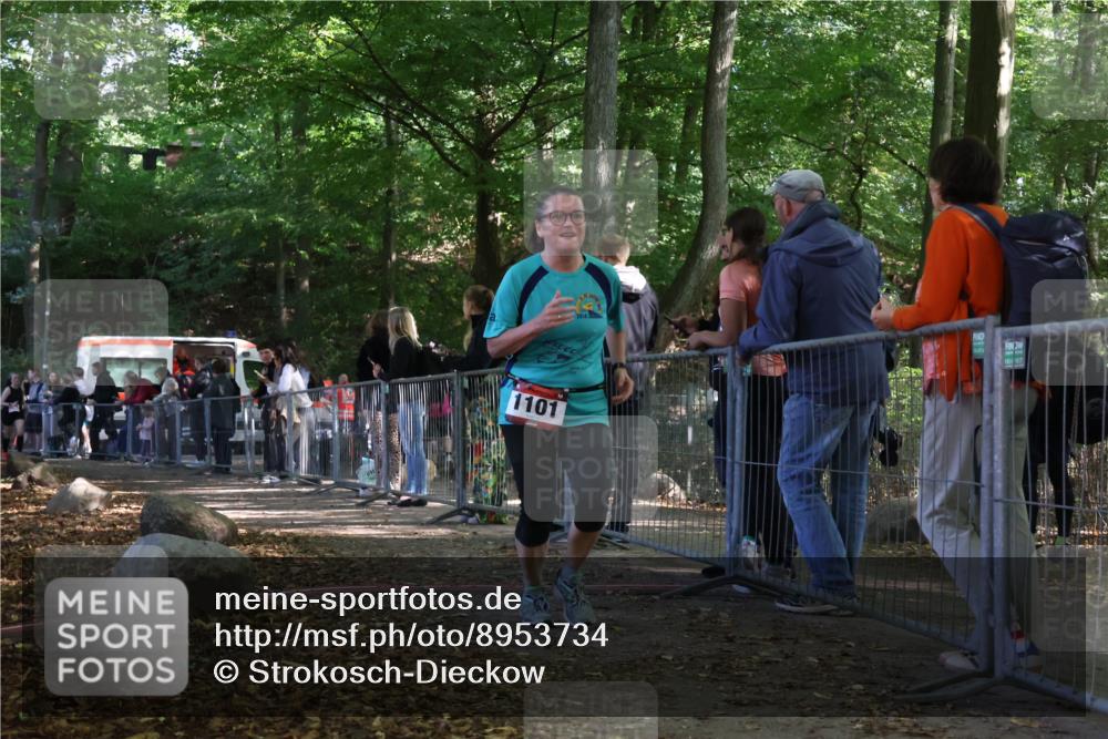 28.09.2025 - 33. Volkslauf durch das schöne Alstertal Strokosch-Dieckow http://msf.ph/oto/8953734 28.09.2025 12:33:51 Ziel 1101 meine-sportfotos.de