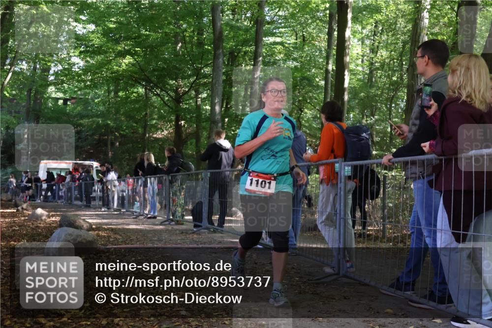 28.09.2025 - 33. Volkslauf durch das schöne Alstertal Strokosch-Dieckow http://msf.ph/oto/8953737 28.09.2025 12:33:52 Ziel 2367 meine-sportfotos.de
