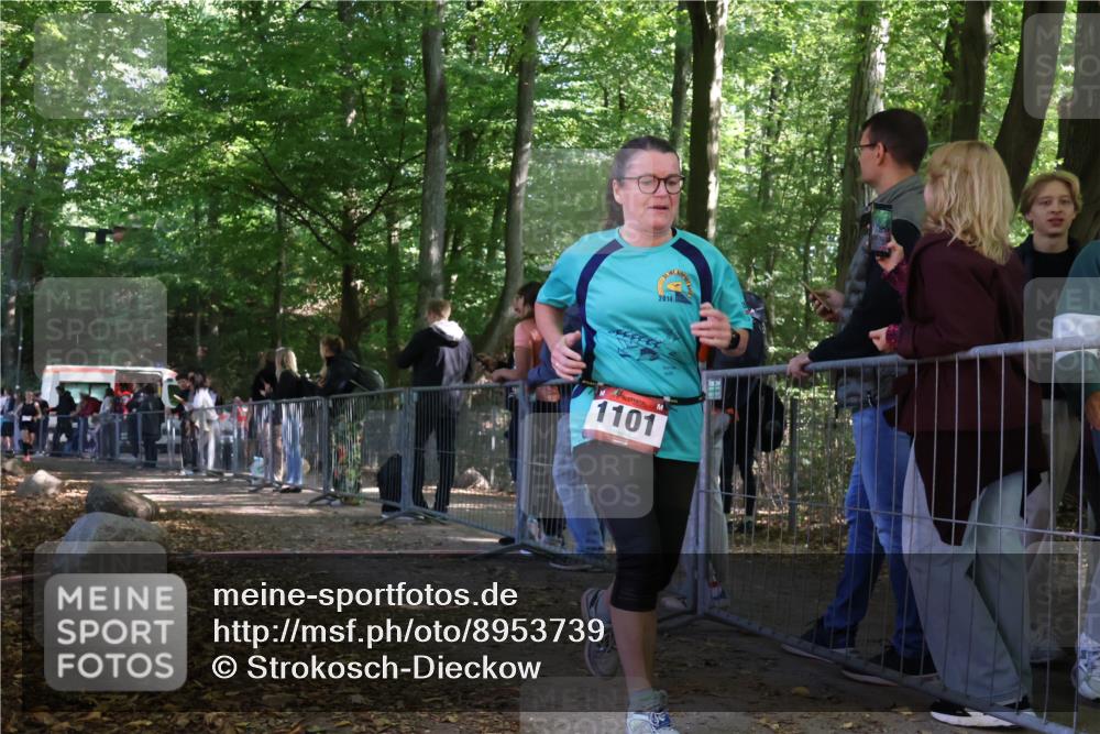 28.09.2025 - 33. Volkslauf durch das schöne Alstertal Strokosch-Dieckow http://msf.ph/oto/8953739 28.09.2025 12:33:52 Ziel 2367 meine-sportfotos.de