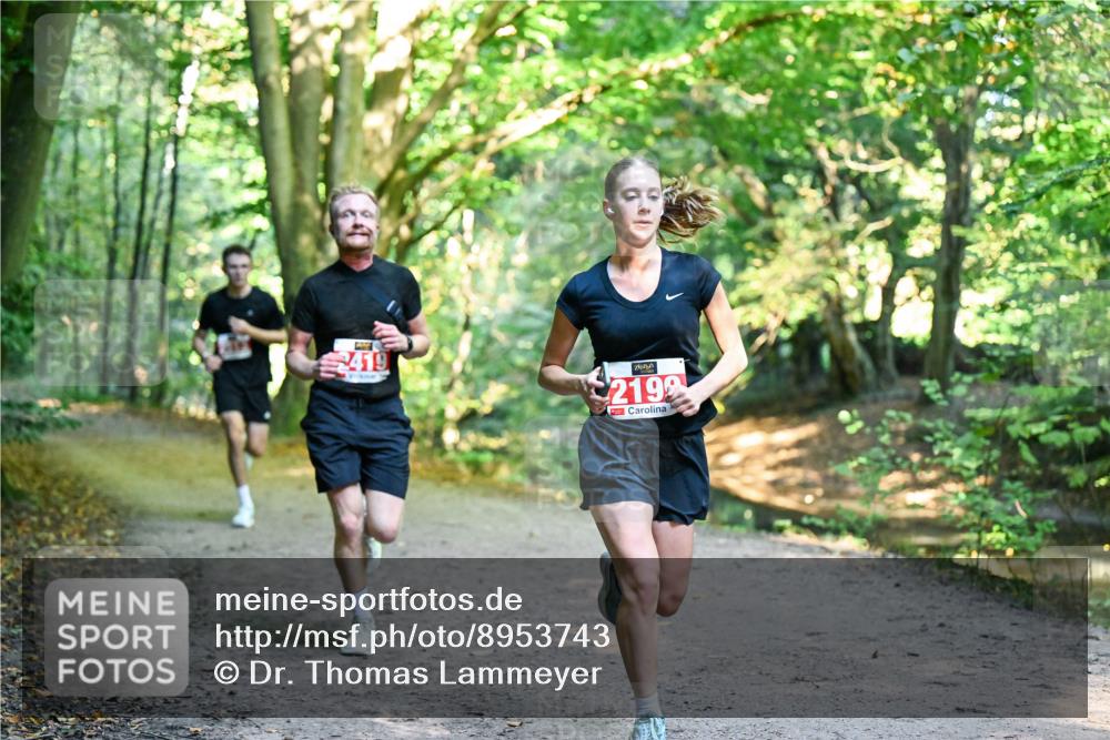 28.09.2025 - 33. Volkslauf durch das schöne Alstertal Dr. Thomas Lammeyer http://msf.ph/oto/8953743 28.09.2025 10:36:39 Laufen 2419, 2199 meine-sportfotos.de