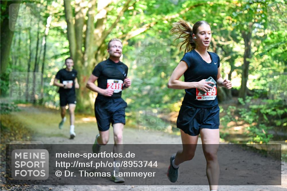 28.09.2025 - 33. Volkslauf durch das schöne Alstertal Dr. Thomas Lammeyer http://msf.ph/oto/8953744 28.09.2025 10:36:39 Laufen 2419 meine-sportfotos.de