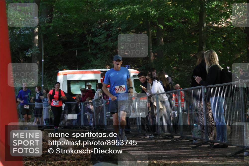 28.09.2025 - 33. Volkslauf durch das schöne Alstertal Strokosch-Dieckow http://msf.ph/oto/8953745 28.09.2025 12:34:07 Ziel 2080, 2207, 2260 meine-sportfotos.de