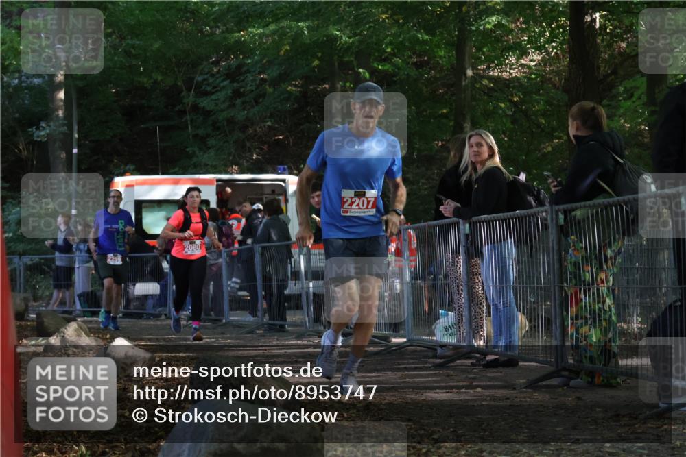 28.09.2025 - 33. Volkslauf durch das schöne Alstertal Strokosch-Dieckow http://msf.ph/oto/8953747 28.09.2025 12:34:09 Ziel 2080, 2207, 2259, 2260 meine-sportfotos.de