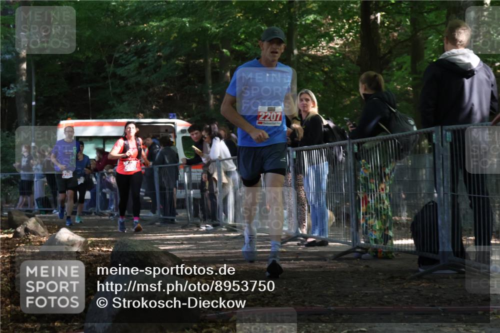 28.09.2025 - 33. Volkslauf durch das schöne Alstertal Strokosch-Dieckow http://msf.ph/oto/8953750 28.09.2025 12:34:10 Ziel 2080, 2207, 2259, 2260 meine-sportfotos.de