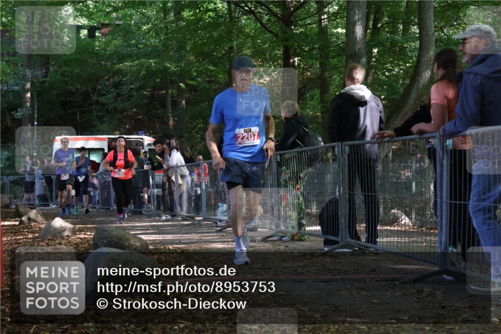 28.09.2025 - 33. Volkslauf durch das schöne Alstertal Strokosch-Dieckow http://msf.ph/oto/8953753 28.09.2025 12:34:10 Ziel 2080, 2207, 2259, 2260 meine-sportfotos.de