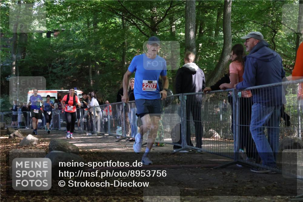 28.09.2025 - 33. Volkslauf durch das schöne Alstertal Strokosch-Dieckow http://msf.ph/oto/8953756 28.09.2025 12:34:11 Ziel 2080, 2207, 2259, 2260 meine-sportfotos.de