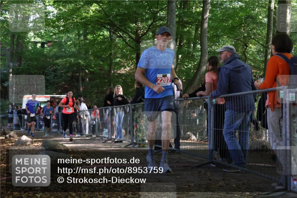 28.09.2025 - 33. Volkslauf durch das schöne Alstertal Strokosch-Dieckow http://msf.ph/oto/8953759 28.09.2025 12:34:11 Ziel 2080, 2207, 2259, 2260 meine-sportfotos.de