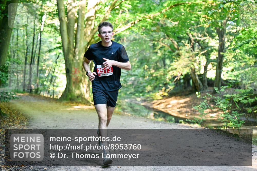 28.09.2025 - 33. Volkslauf durch das schöne Alstertal Dr. Thomas Lammeyer http://msf.ph/oto/8953760 28.09.2025 10:36:41 Laufen 2513 meine-sportfotos.de