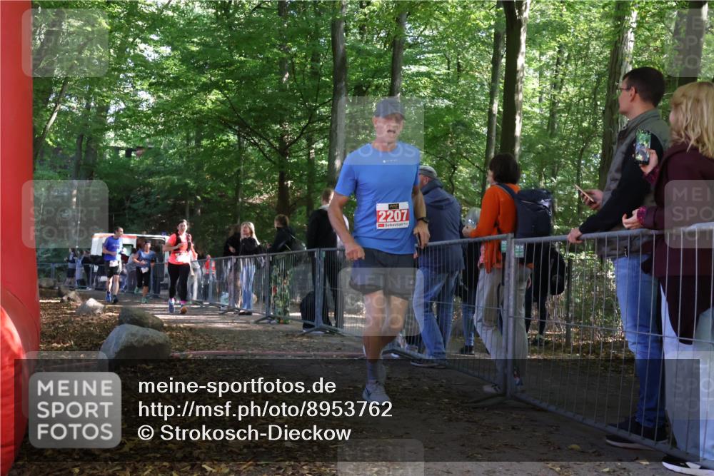 28.09.2025 - 33. Volkslauf durch das schöne Alstertal Strokosch-Dieckow http://msf.ph/oto/8953762 28.09.2025 12:34:12 Ziel 2080, 2207, 2259, 2260, 2600 meine-sportfotos.de