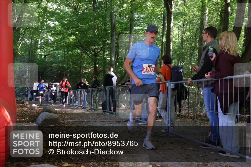 28.09.2025 - 33. Volkslauf durch das schöne Alstertal Strokosch-Dieckow http://msf.ph/oto/8953765 28.09.2025 12:34:12 Ziel 2080, 2207, 2259, 2260, 2600 meine-sportfotos.de