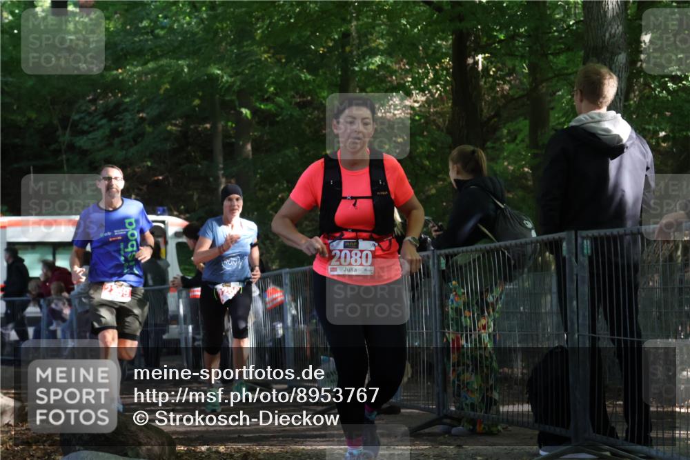28.09.2025 - 33. Volkslauf durch das schöne Alstertal Strokosch-Dieckow http://msf.ph/oto/8953767 28.09.2025 12:34:14 Ziel 2080, 2259, 2260, 2600 meine-sportfotos.de