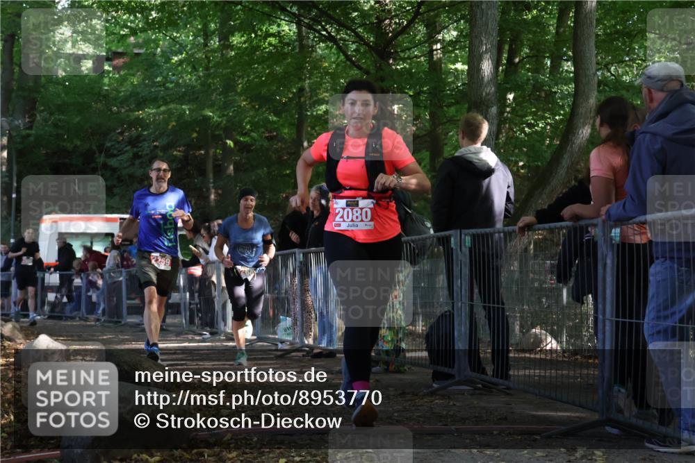 28.09.2025 - 33. Volkslauf durch das schöne Alstertal Strokosch-Dieckow http://msf.ph/oto/8953770 28.09.2025 12:34:14 Ziel 2080, 2259, 2260, 2600 meine-sportfotos.de