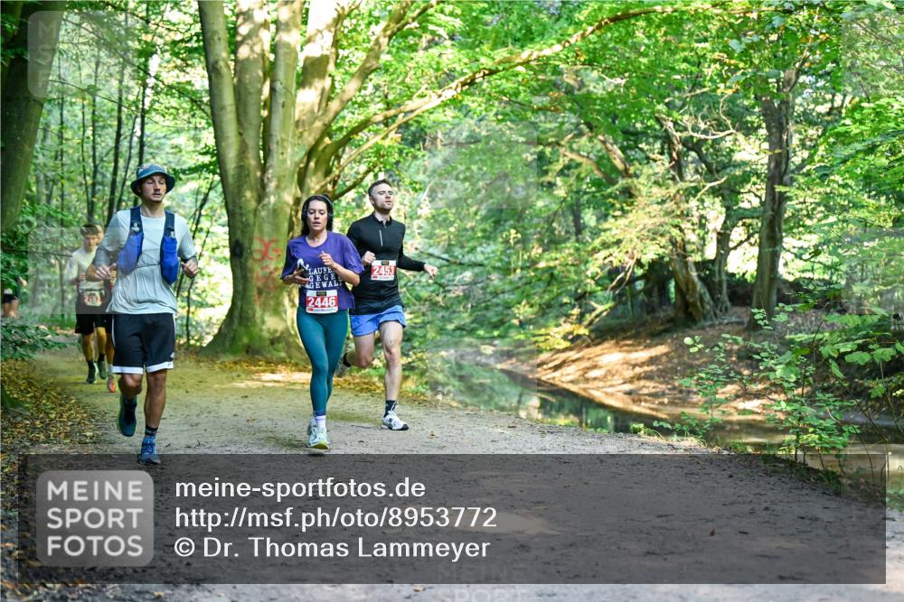28.09.2025 - 33. Volkslauf durch das schöne Alstertal Dr. Thomas Lammeyer http://msf.ph/oto/8953772 28.09.2025 10:36:53 Laufen 2446, 2453 meine-sportfotos.de