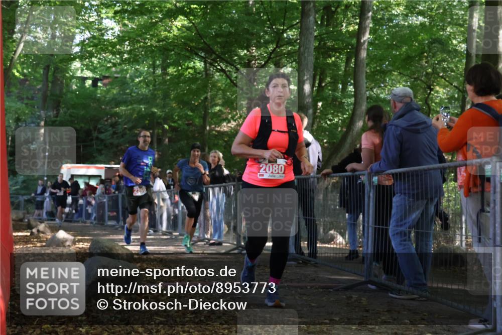 28.09.2025 - 33. Volkslauf durch das schöne Alstertal Strokosch-Dieckow http://msf.ph/oto/8953773 28.09.2025 12:34:15 Ziel 2080, 2259, 2260, 2600 meine-sportfotos.de