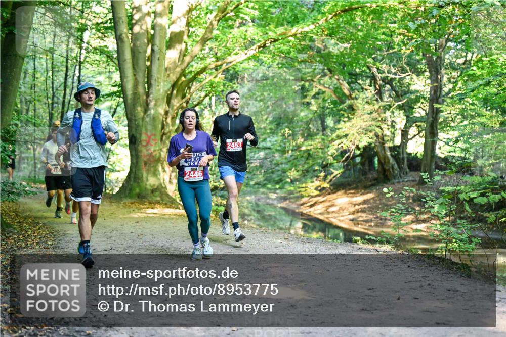 28.09.2025 - 33. Volkslauf durch das schöne Alstertal Dr. Thomas Lammeyer http://msf.ph/oto/8953775 28.09.2025 10:36:54 Laufen 2446, 2453 meine-sportfotos.de