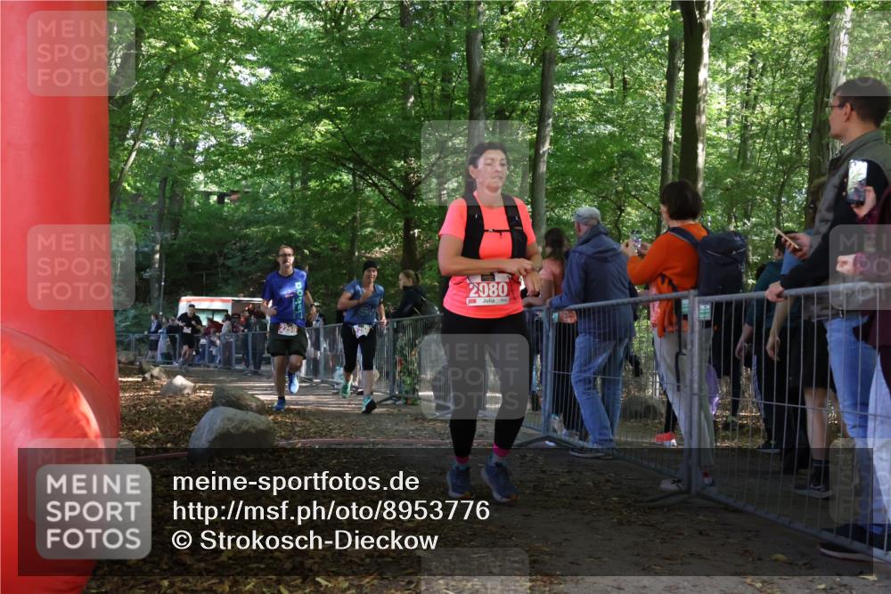 28.09.2025 - 33. Volkslauf durch das schöne Alstertal Strokosch-Dieckow http://msf.ph/oto/8953776 28.09.2025 12:34:15 Ziel 2080, 2259, 2260, 2600 meine-sportfotos.de