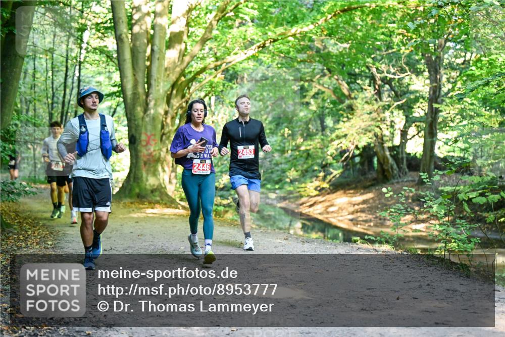 28.09.2025 - 33. Volkslauf durch das schöne Alstertal Dr. Thomas Lammeyer http://msf.ph/oto/8953777 28.09.2025 10:36:54 Laufen 2446, 2453 meine-sportfotos.de