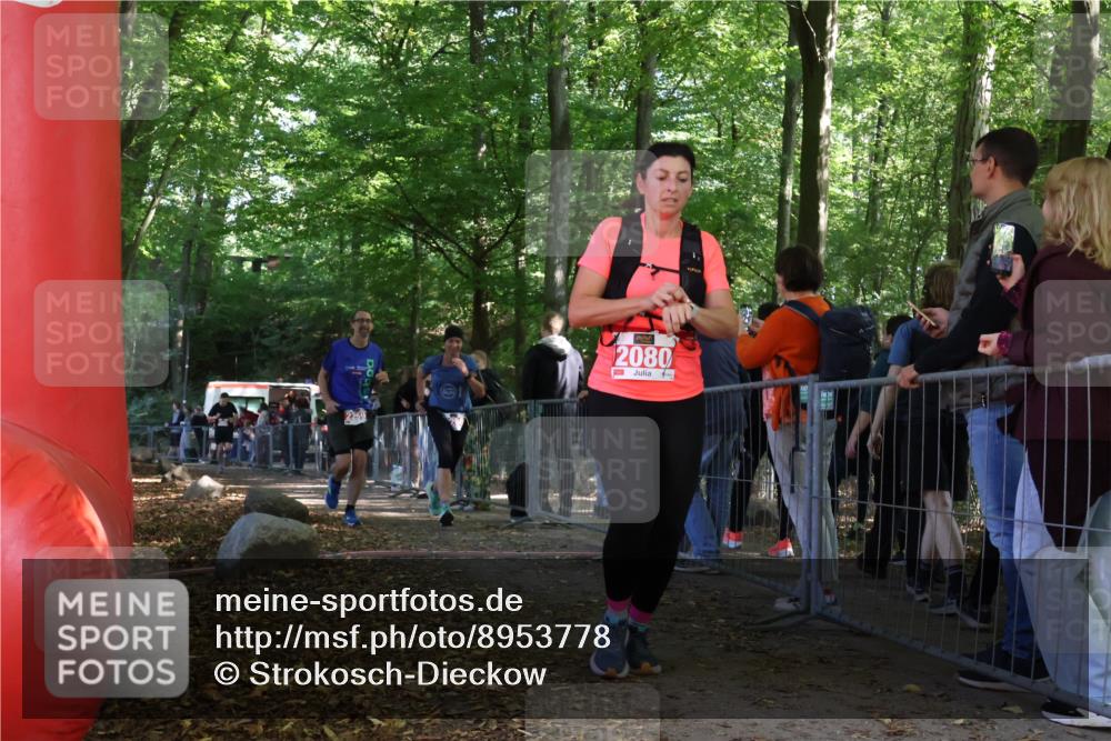 28.09.2025 - 33. Volkslauf durch das schöne Alstertal Strokosch-Dieckow http://msf.ph/oto/8953778 28.09.2025 12:34:16 Ziel 2259, 2260, 2600 meine-sportfotos.de