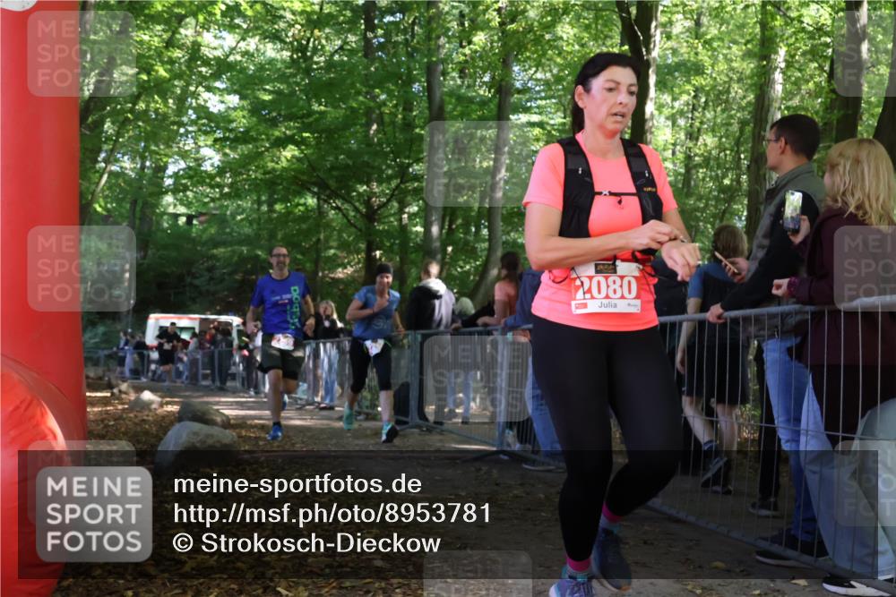 28.09.2025 - 33. Volkslauf durch das schöne Alstertal Strokosch-Dieckow http://msf.ph/oto/8953781 28.09.2025 12:34:16 Ziel 2259, 2260, 2600 meine-sportfotos.de