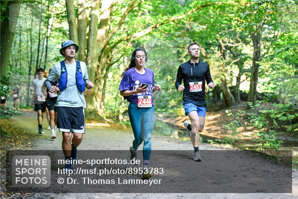 28.09.2025 - 33. Volkslauf durch das schöne Alstertal Dr. Thomas Lammeyer http://msf.ph/oto/8953783 28.09.2025 10:36:55 Laufen 2453, 2446 meine-sportfotos.de