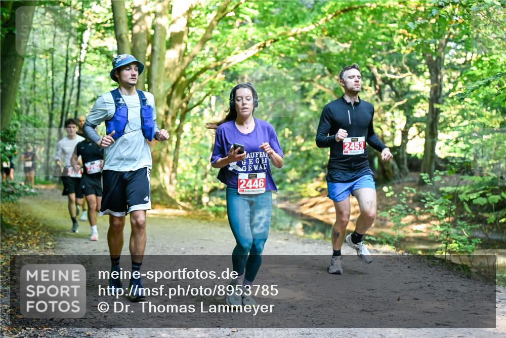 28.09.2025 - 33. Volkslauf durch das schöne Alstertal Dr. Thomas Lammeyer http://msf.ph/oto/8953785 28.09.2025 10:36:55 Laufen 2446, 2453 meine-sportfotos.de