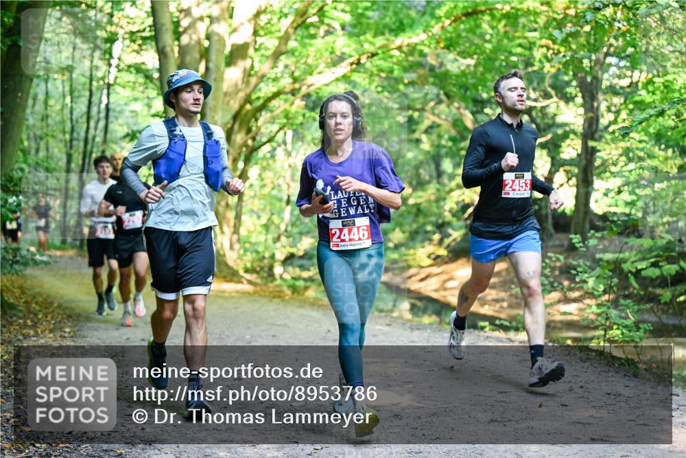 28.09.2025 - 33. Volkslauf durch das schöne Alstertal Dr. Thomas Lammeyer http://msf.ph/oto/8953786 28.09.2025 10:36:55 Laufen 2446, 2453 meine-sportfotos.de