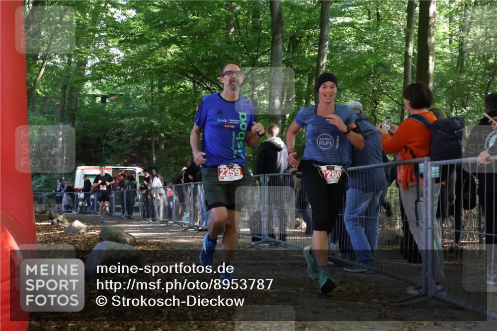 28.09.2025 - 33. Volkslauf durch das schöne Alstertal Strokosch-Dieckow http://msf.ph/oto/8953787 28.09.2025 12:34:17 Ziel 2259, 2260, 2600 meine-sportfotos.de