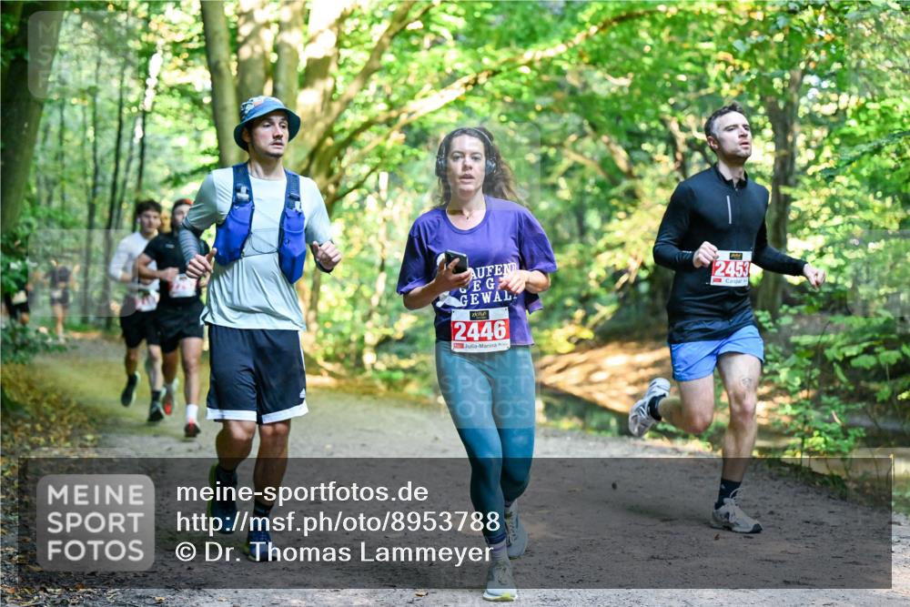 28.09.2025 - 33. Volkslauf durch das schöne Alstertal Dr. Thomas Lammeyer http://msf.ph/oto/8953788 28.09.2025 10:36:55 Laufen 2446, 2453 meine-sportfotos.de